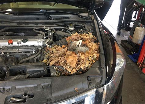 reddit car repair